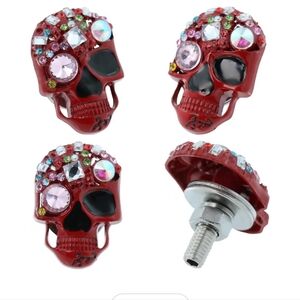 License Plate Screws